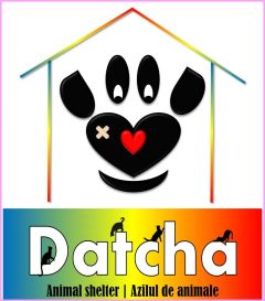 datcha shelter logo